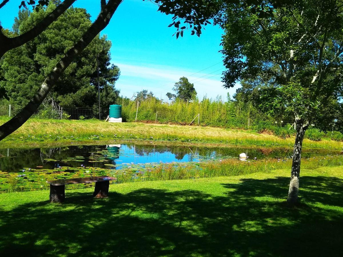 Frog Song Suite The Crags Bagian luar foto